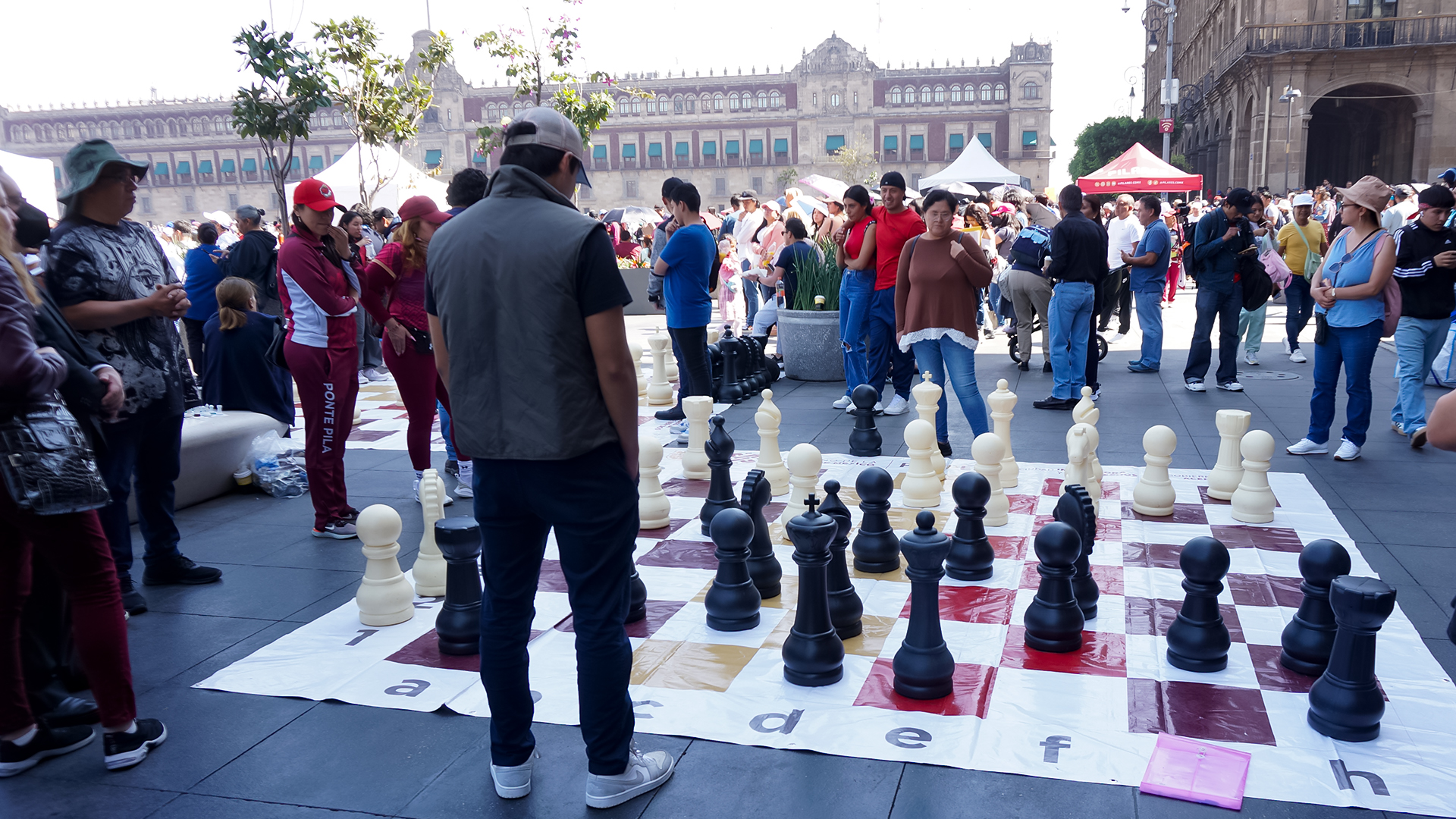 Foto: Gabriel Morales | Ajedrez Gigante en el Zócalo: Estrategia para Todas las Edades